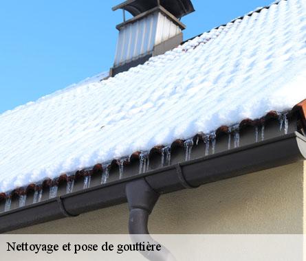 Nettoyage et pose de gouttière Côtes-d'Armor 