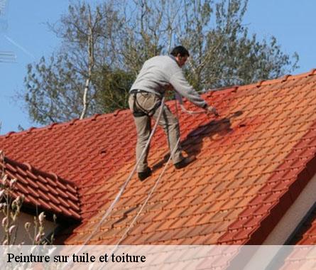 Peinture sur tuile et toiture Côtes-d'Armor 