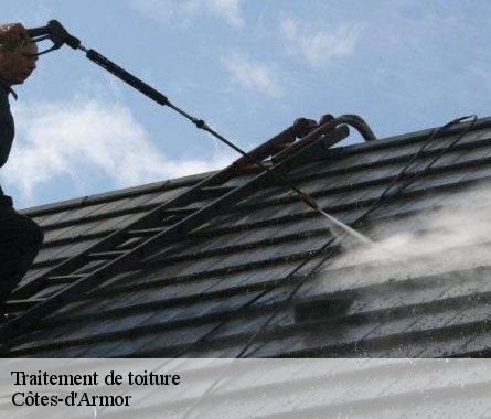 Traitement de toiture Côtes-d'Armor 