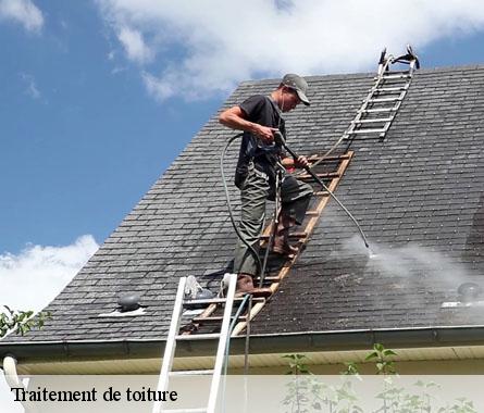 Traitement de toiture Côtes-d'Armor 