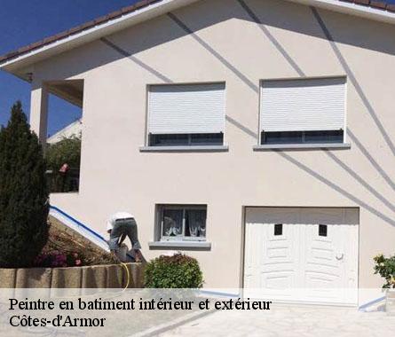 Peintre en batiment intérieur et extérieur Côtes-d'Armor 