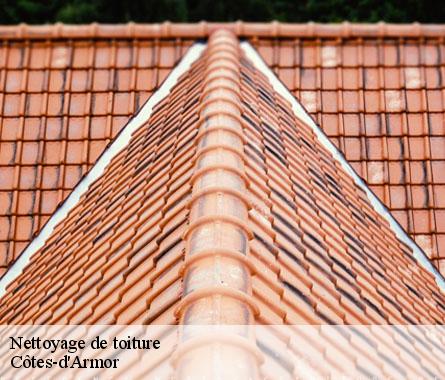 Nettoyage de toiture Côtes-d'Armor 