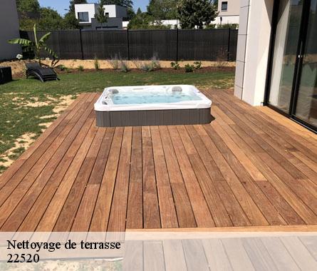 Nettoyage de terrasse  22520