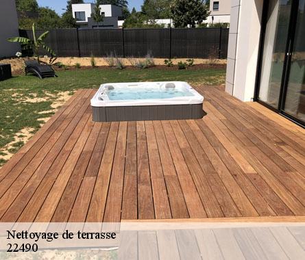 Nettoyage de terrasse  22490