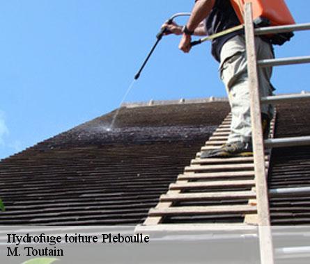 Hydrofuge toiture  pleboulle-22550 M. Toutain