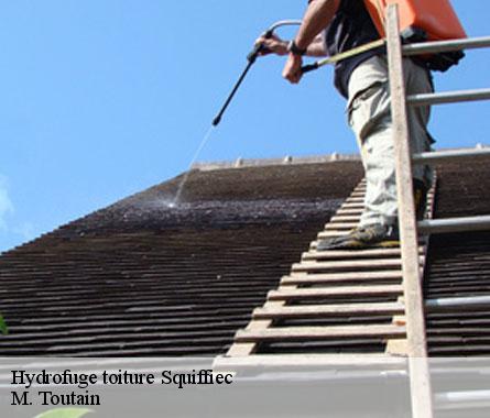 Hydrofuge toiture  squiffiec-22200 M. Toutain