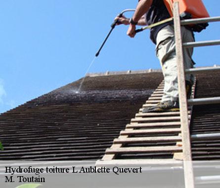 Hydrofuge toiture  l-aublette-quevert-22100 M. Toutain