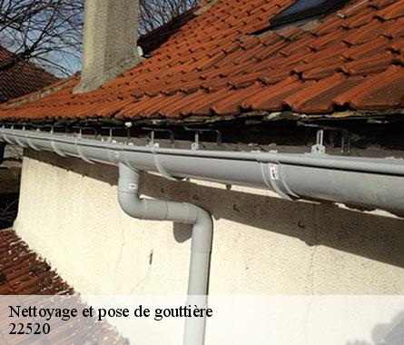 Nettoyage et pose de gouttière  22520