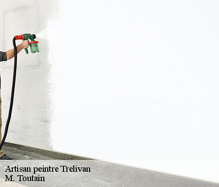 Artisan peintre  trelivan-22100 M. Toutain