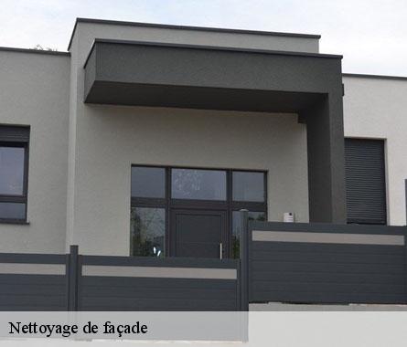 Nettoyage de façade  22630