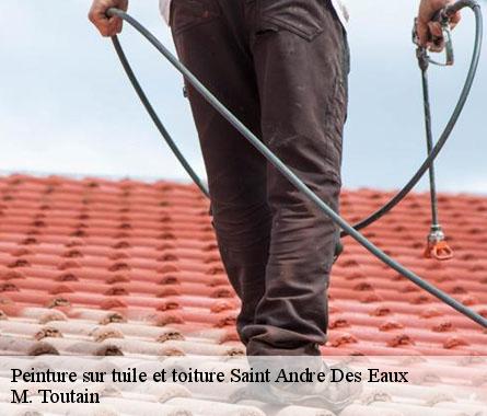 Peinture sur tuile et toiture  saint-andre-des-eaux-22630 M. Toutain