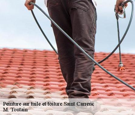 Peinture sur tuile et toiture  saint-carreuc-22150 M. Toutain