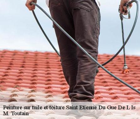 Peinture sur tuile et toiture  saint-etienne-du-gue-de-l-is-22210 M. Toutain