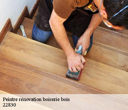 Peintre rénovation boiserie bois  22830