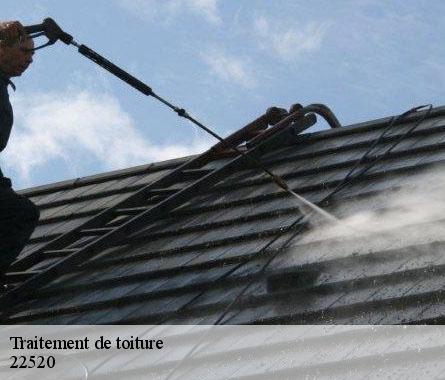 Traitement de toiture  22520