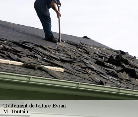 Traitement de toiture  evran-22630 M. Toutain