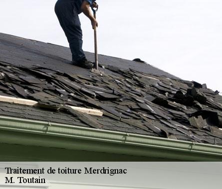 Traitement de toiture  merdrignac-22230 M. Toutain