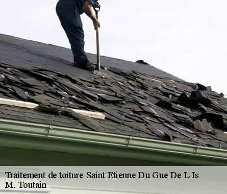 Traitement de toiture  saint-etienne-du-gue-de-l-is-22210 M. Toutain