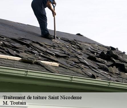 Traitement de toiture  saint-nicodeme-22160 M. Toutain