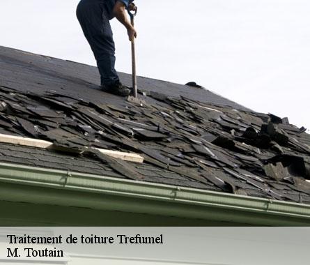 Traitement de toiture  trefumel-22630 M. Toutain