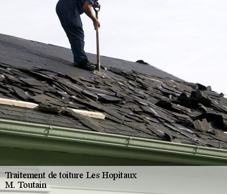 Traitement de toiture  les-hopitaux-22430 M. Toutain