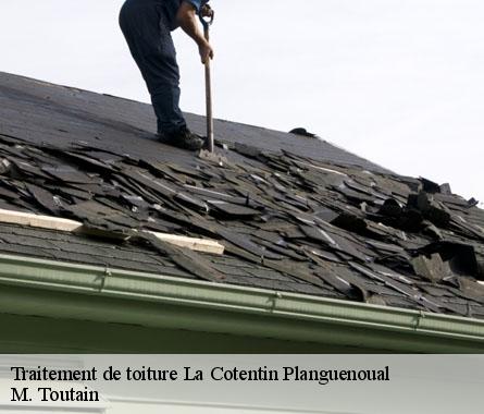 Traitement de toiture  la-cotentin-planguenoual-22400 M. Toutain