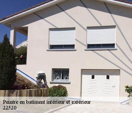 Peintre en batiment intérieur et extérieur  22520