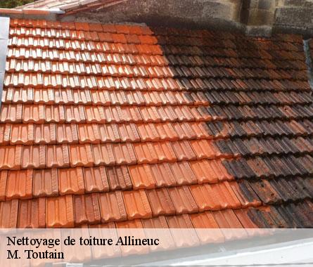 Nettoyage de toiture  allineuc-22460 M. Toutain