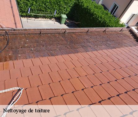 Nettoyage de toiture  22330