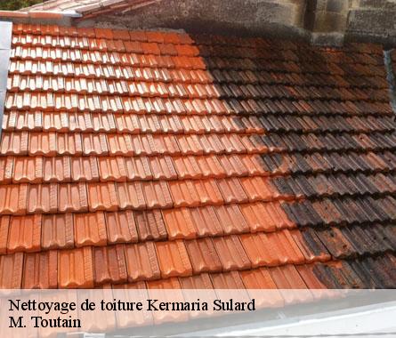 Nettoyage de toiture  kermaria-sulard-22450 M. Toutain