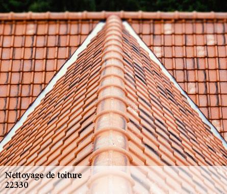 Nettoyage de toiture  22330