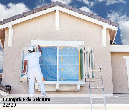 Entreprise de peinture  22520